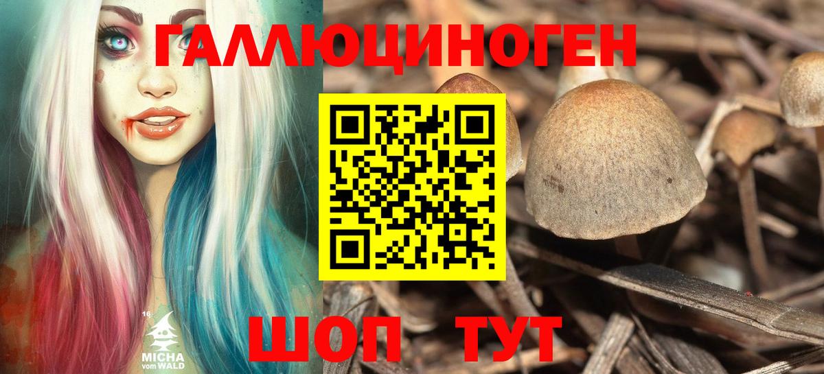 Псилоцибиновые грибы мицелий  Вход с VPN  Псилоцибиновые грибы Psilocybine cubensis  где купить наркоту  Гусь-Хрустальный 